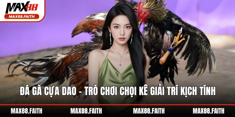 Đá gà cựa dao